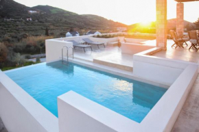 Amorelia Casa